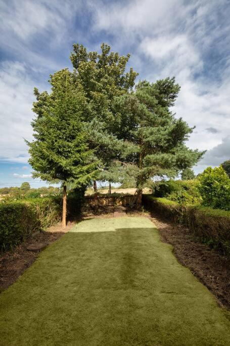 Charming Gateshead Retreat - Close To Newcastle - Angel Of The North Exterior foto